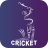 icon Cricket Mania 4.0