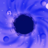 icon Idle Black Hole 1.10.7