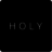 icon HOLY AG 3.8