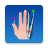 icon e-Anatomy 4.13.0