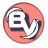 icon Basic VPN 2.1.1