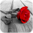 icon Photo Art 1.8.8