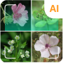 icon Plant identifier