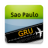 icon GRU 10.7