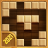 icon Block Puzzle 2021 1.0.0