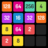 icon X2 Blocks 339