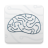 icon Brainquire 1.32