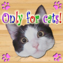 icon Only for Cats