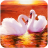 icon The Swan 1.0.9