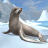 icon Sea Lion Simulator 3D 1.1