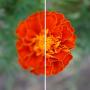 icon Video quality enhancer & editor