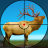 icon Deer Hunt Wild Animal Shooting Games 2021 1.0