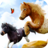 icon My Pony Horse Riding 2.11.3
