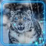 icon Snow Leopard Wild