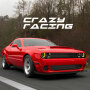 icon Fast Car Racing Driving Sim