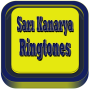 icon Sari Kanarya Marches