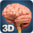 icon Brain Anatomy Pro 2.2