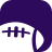 icon Ravens Football 9.0.13