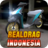 icon RealDragIndonesia 0.38