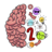 icon Brain Test 2 0.74