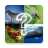 icon Animals 7.2