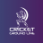 icon Cricket Ground Line 1.0.2