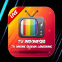 icon Tv Indonesia Pro