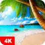 icon Summer Wallpapers 4K