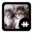 icon Cats & Kittens Puzzle 1.5.1