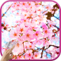 icon Magic Touch: Japanese Sakura