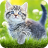 icon 7Fon Cats 6.0.76