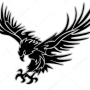 icon Tienda Aguila Negra