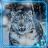 icon Snow Leopard Wild 1.2
