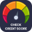icon Check Credit Score & Report 1.1