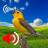 icon Birds Ringtones 1.7.9