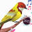 icon Birds Ringtones 2.0.0