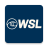 icon WSL 8.2.3