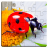 icon Insect Puzzles 36.0