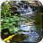 icon Pond with Koi Video Wallpaper 2.0