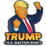 icon Trump. U.S. Election Rush