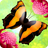 icon Flutter 2.63