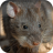 icon com.sounds.bandicootrat 1.1