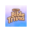 icon Bible Trivia Game 376