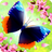 icon Flutter 2.64.1