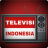 icon IND TV HD 1.6