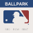 icon Ballpark 7.0.0