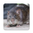 icon Bandicoot Rat Sounds 3.5.0