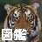 icon Illustrated Reference Book 1.13