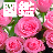 icon Illustrated Reference Book 1.13