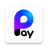 icon Pay by Vivacom 9.45.00